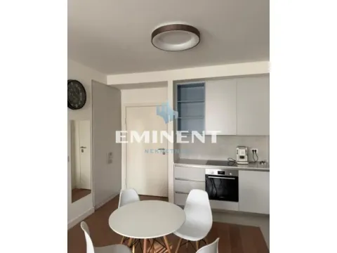 Izdavanje, dvosoban stan, 56m², Savski Venac, Beograd - image 3