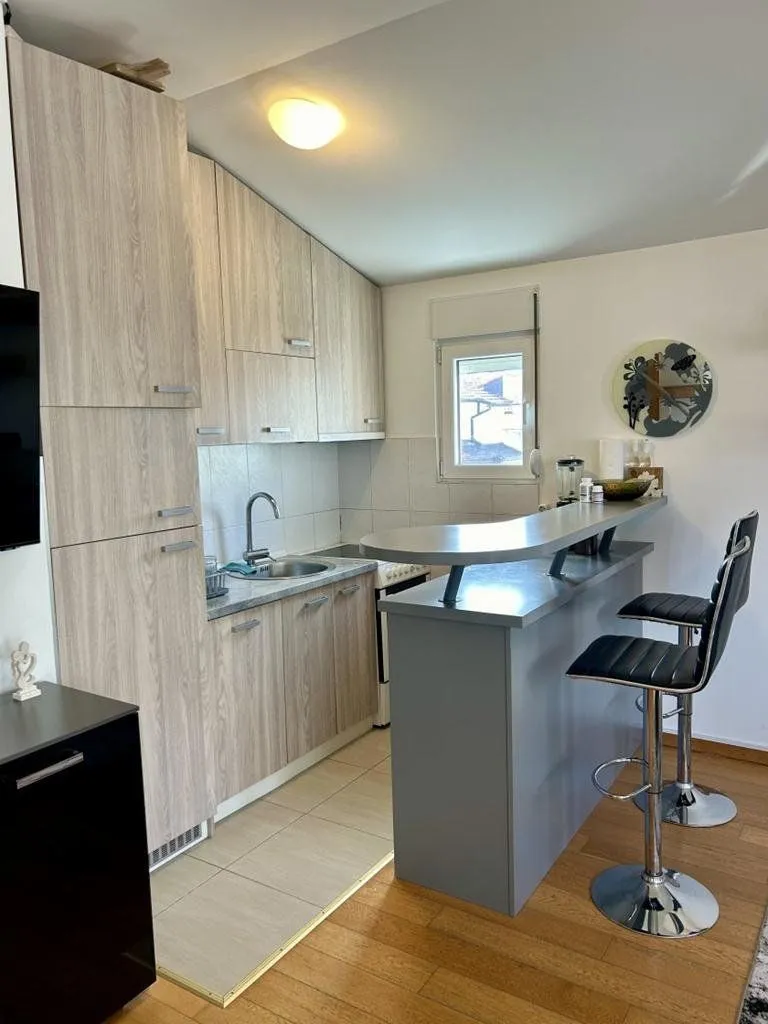 Rent, one bedroom apartment, 50m², Blok 9, Podgorica
