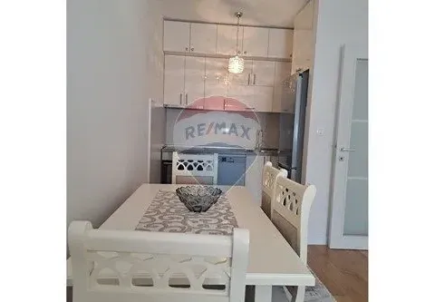 Izdavanje, jednosoban stan, 46m², Central Point, Podgorica - image 4