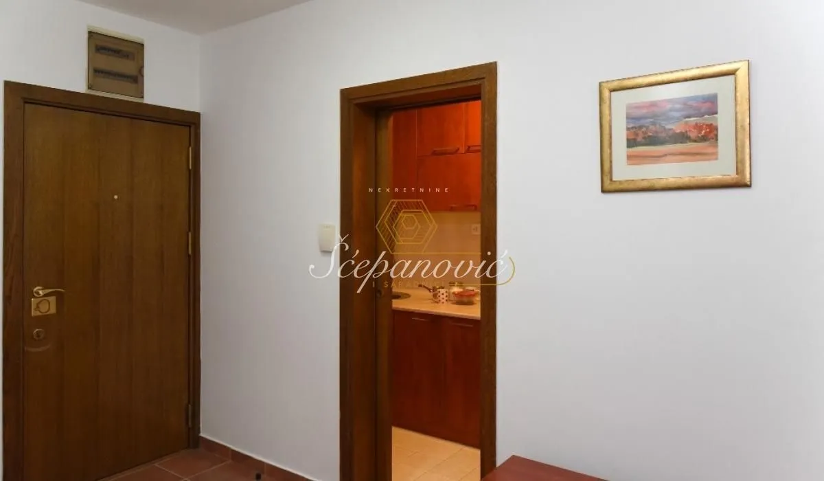 Izdavanje, dvosoban stan, 49m², Betanija, Novi Sad Sve Podlokacije