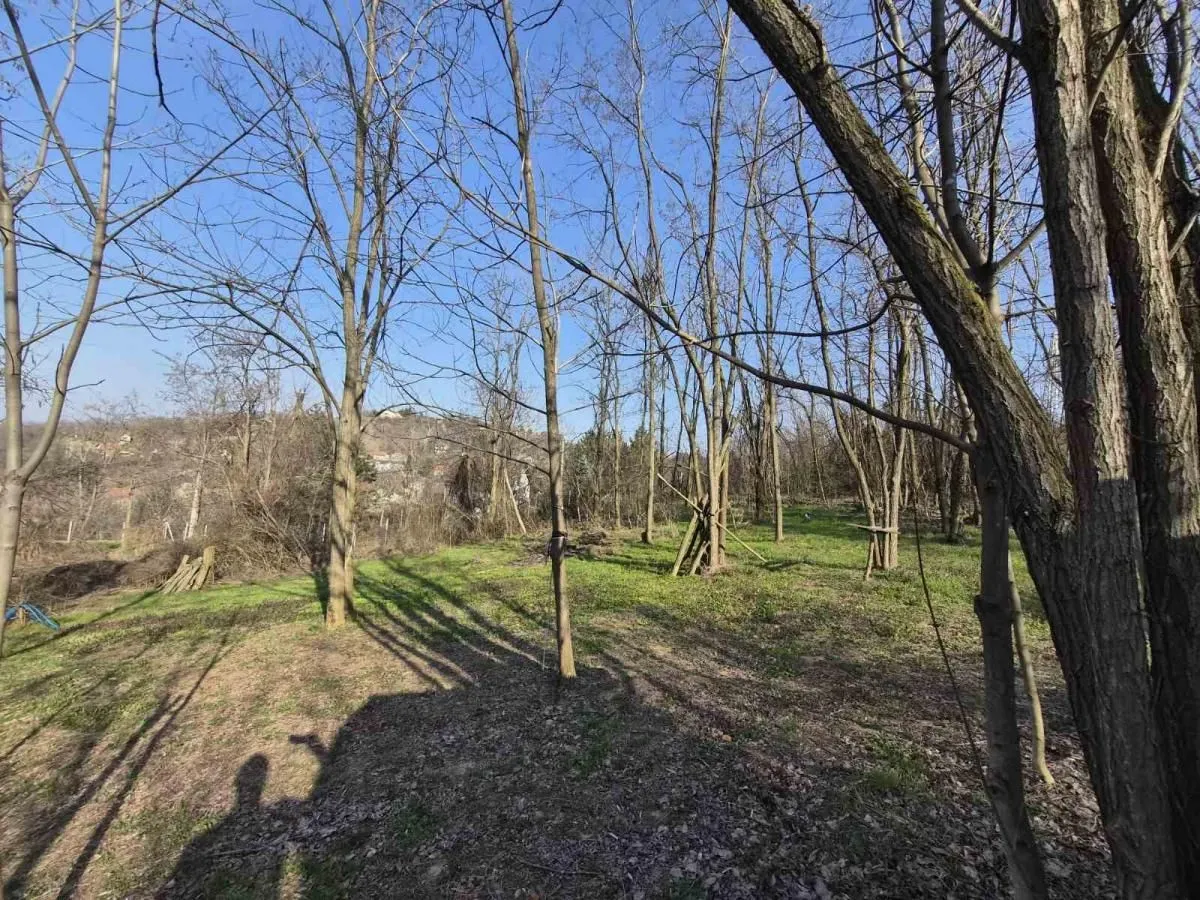 Prodaja, plac, 5000m², Sremska Kamenica, Petrovaradin