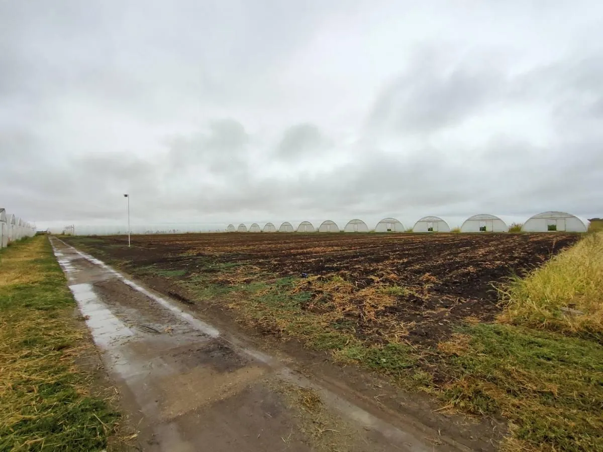 Prodaja, plac, 520m², Vrbas, Novi Sad