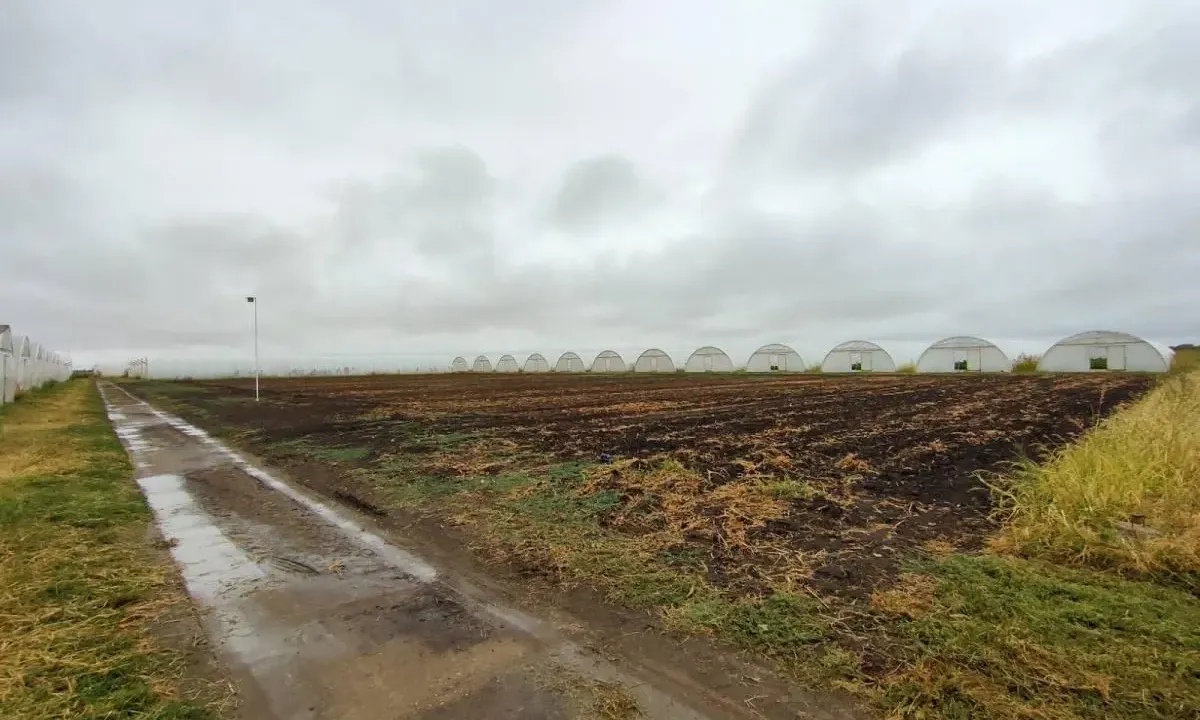 Sale, land lot, 520m², Vrbas, Novi Sad