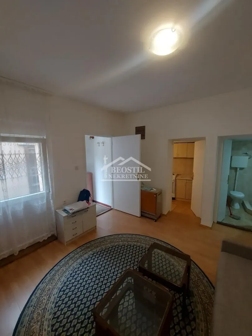 Dnevni boravak sa garniturom, tepihom i pogledom na ulazni deo i kupatilo.