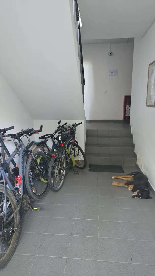 Izdavanje, dvosoban stan, 48m², Borča 3, Borča Sve Podlokacije