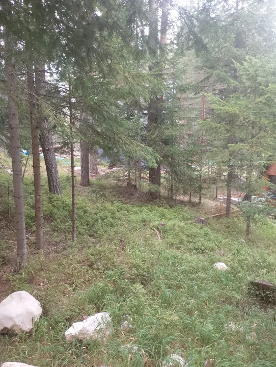 Prodaja, plac, 1033m², Borje, Žabljak