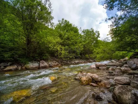 Prodaja, kuća, 70m², Kolašin, Crna Gora - image 9