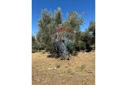 Sale, land lot, 1546m², Bartula, Bar