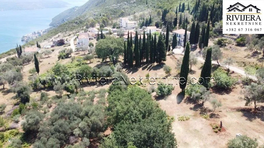 Prodaja, plac, 2391m², Žvinje, Herceg Novi