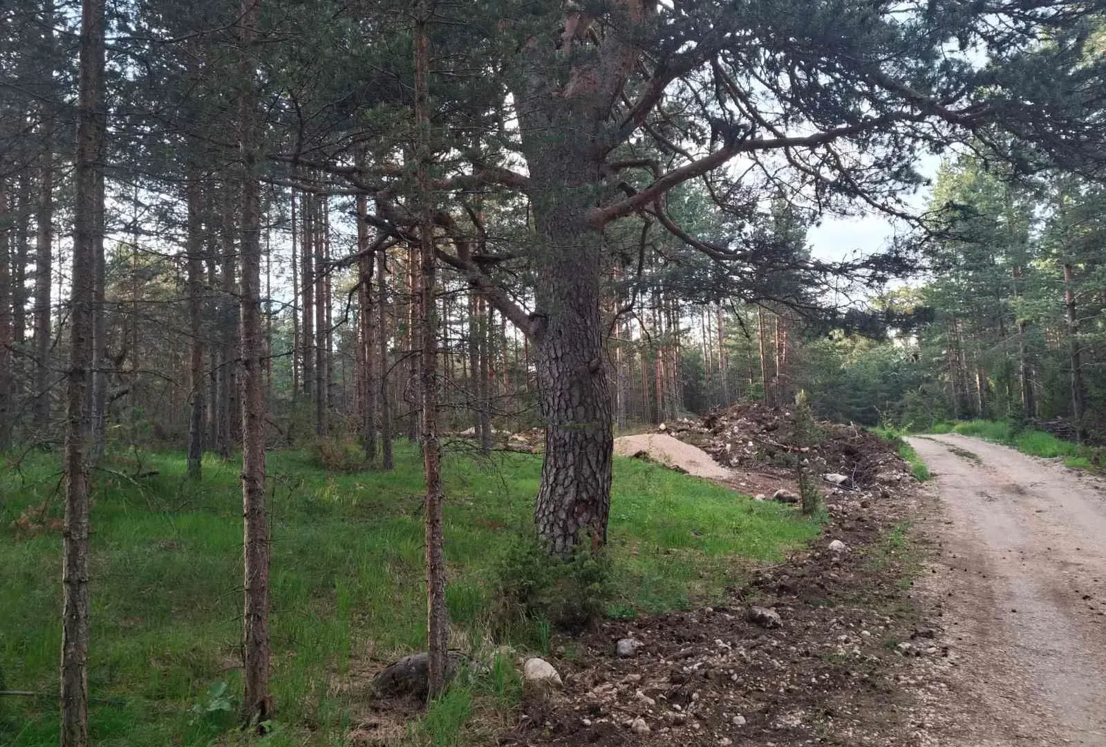 Prodaja, plac, 1150m², Žabljak, Crna Gora