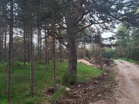 Prodaja, plac, 1150m², Žabljak, Crna Gora - image 2