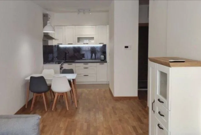 Izdavanje, jednosoban stan, 48m², Bečići, Budva