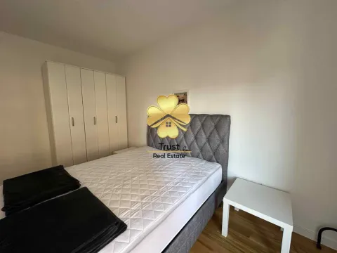 Izdavanje, jednosoban stan, 40m², Central Point, Podgorica - image 9