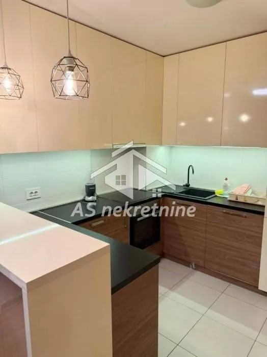 Rent, two bedroom apartment, 55m², Južni Bulevar, Vračar Sve Podlokacije