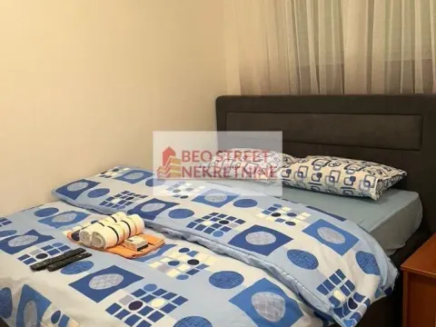 Izdavanje, dvosoban stan, 55m², Bul Kralja Aleksandra, Zvezdara Sve Podlokacije - image 3