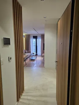 Izdavanje, jednosoban stan, 44m², Preko Morače, Podgorica - image 13
