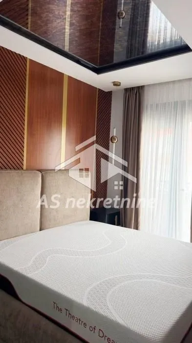 Rent, four bedroom apartment, 275m², Vračar Hram, Vračar Sve Podlokacije