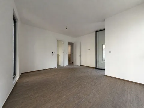 Empty room with white walls, wooden flooring, and windows. - image 5