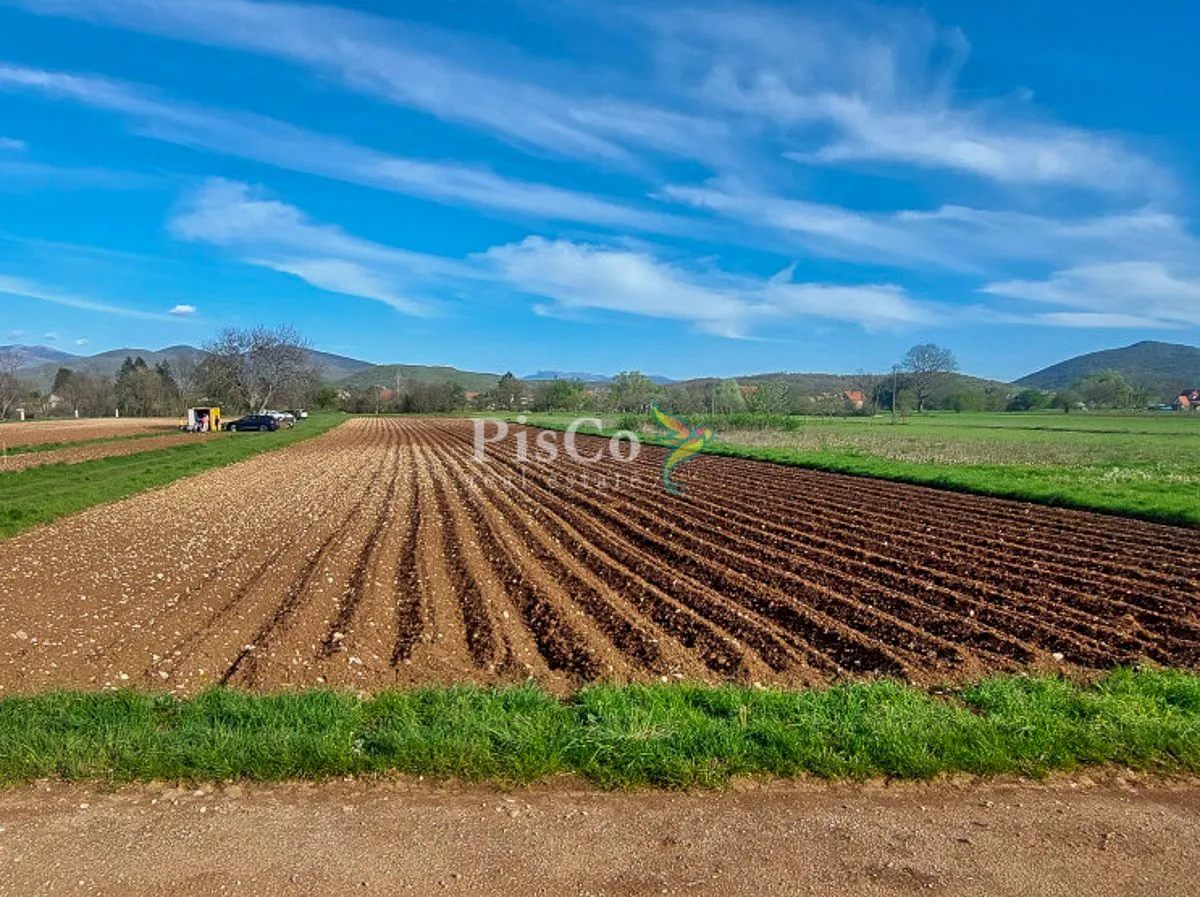 Prodaja, plac, 6077m², Nikšić, Crna Gora