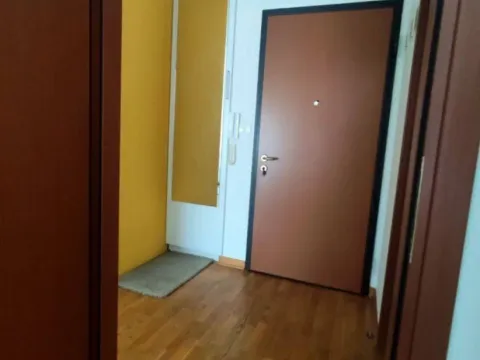 Izdavanje, jednosoban stan, 54m², City Kvart, Podgorica - image 4