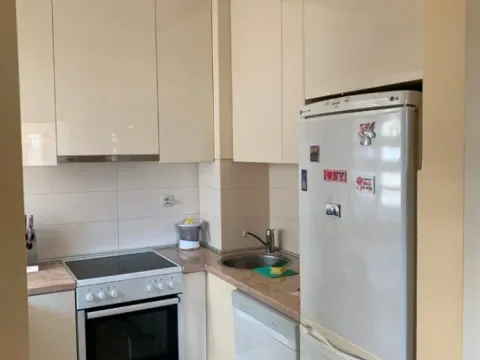 Izdavanje, jednosoban stan, 54m², Podgorica, Crna Gora - image 4