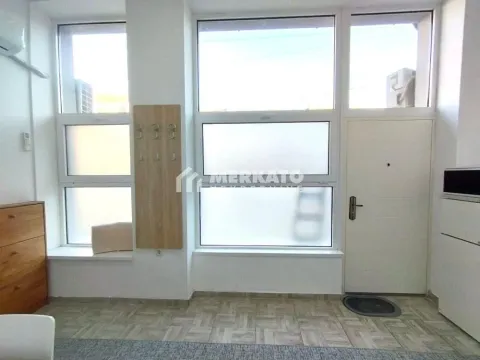 Izdavanje, jednosoban stan, 44m², Centar, Zrenjanin - image 7