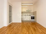 Izdavanje, jednosoban stan, 40m², Tuški Put, Podgorica - image 4