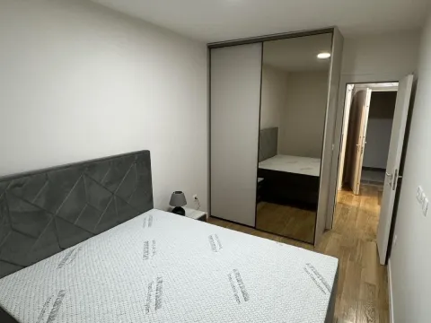 Izdavanje, jednosoban stan, 40m², Central Point, Podgorica - image 4