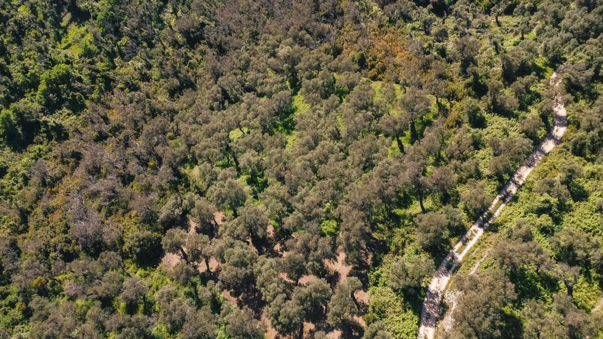 Prodaja, plac, 3030m², Ulcinj, Crna Gora