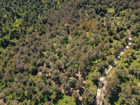 Prodaja, plac, 3030m², Ulcinj, Crna Gora - image 6