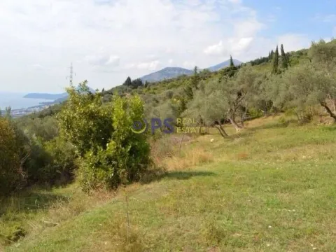 Prodaja, plac, 3200m², Bar, Crna Gora - image 3