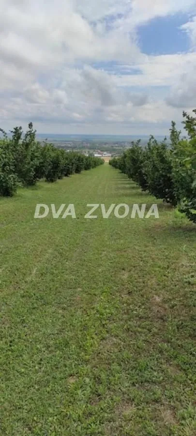 Prodaja, plac, 6800m², Stari Slankamen, Inđija