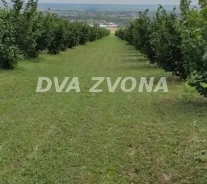 Prodaja, plac, 6800m², Stari Slankamen, Inđija - image 6