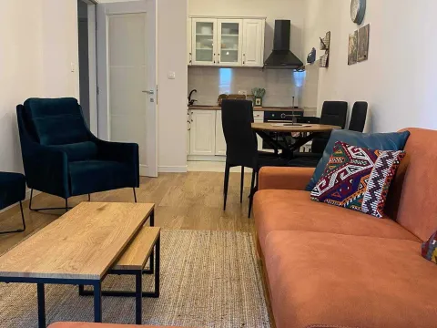 Rent, one bedroom apartment, 46m², Central Point, Podgorica - image 3