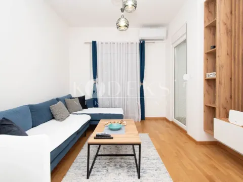 Rent, one bedroom apartment, 44m², Zabjelo, Podgorica - image 2