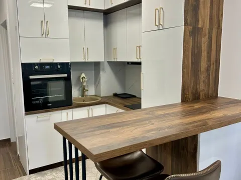 Rent, one bedroom apartment, 31m², Kruševac, Podgorica - image 6