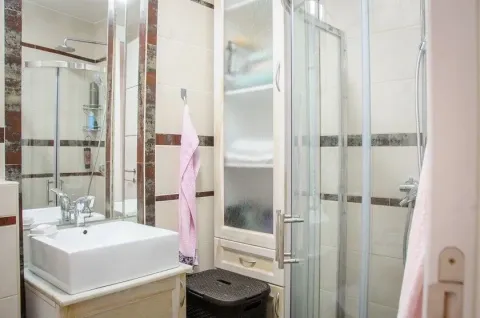Compactly equipped bathroom with a washbasin, shower cabin, and cabinet. - image 9