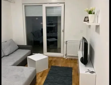 Rent, studio apartment, 30m², Novo naselje, Novi Sad - image 2
