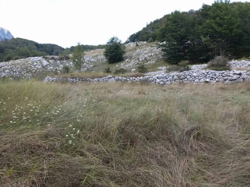 Prodaja, plac, 20000m², Cetinje, Crna Gora