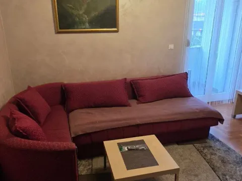 Izdavanje, garsonjera, 25m², Stari Aerodrom, Podgorica - image 3