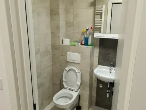 Izdavanje, dvosoban stan, 54m², Dušanovac, Voždovac Sve Podlokacije - image 8