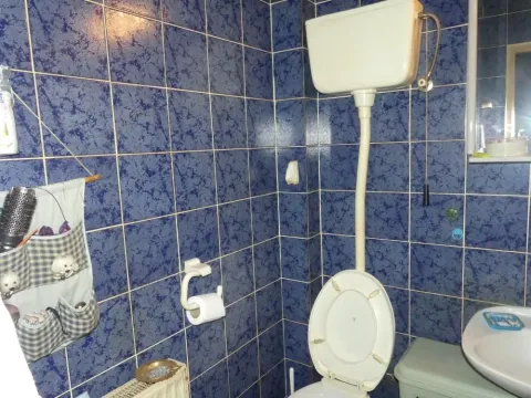 Prodaja, kuća, 340m², Levač, Jagodina - image 33