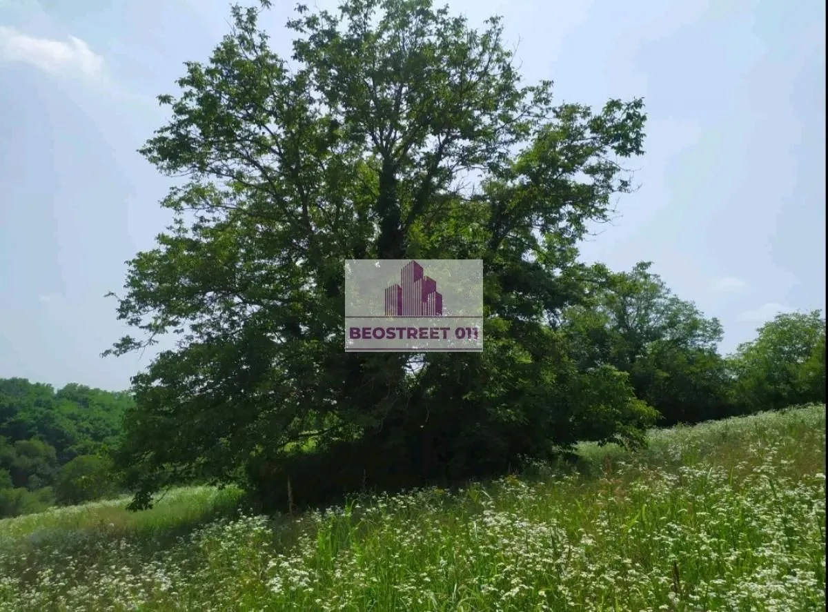 Prodaja, plac, 90m², Šid, Srbija