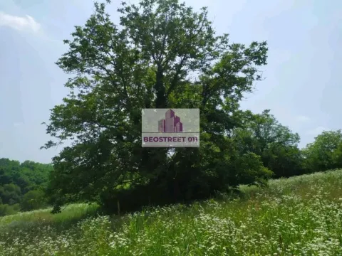 Sale, land lot, 90m², Šid, Srbija - image 3