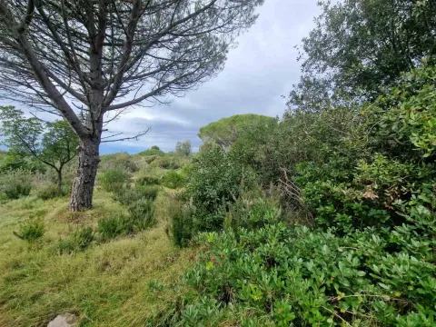 Prodaja, plac, 930m², Zagora, Kotor - image 8