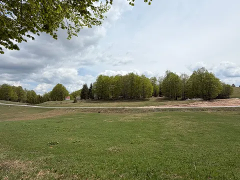Prodaja, plac, 6075m², Pošćenski Kraj, Žabljak - image 5