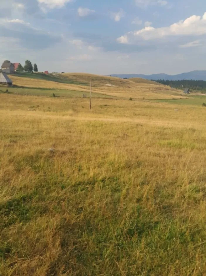 Prodaja, plac, 37000m², Kovačka Dolina, Žabljak