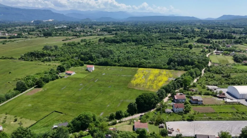 Prodaja, plac, 9871m², Ćurilac, Danilovgrad