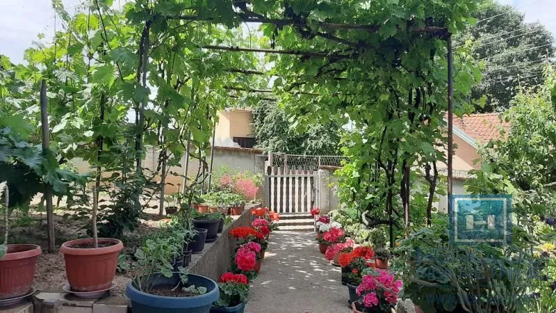 Prodaja, kuća, 500m², Despotovac, Srbija