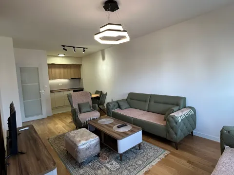 Rent, one bedroom apartment, 49m², Central Point, Podgorica - image 2